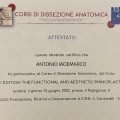 Ingrandire l'immagine: certificate 24