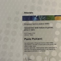 Ingrandire l'immagine: certificate 4
