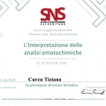 Ingrandire l'immagine: certificate 17