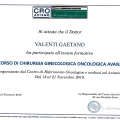 Ingrandire l'immagine: certificate 4