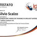 Ingrandire l'immagine: certificate 4