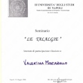 Ingrandire l'immagine: certificate 4