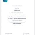 Ingrandire l'immagine: certificate 4