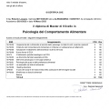 Ingrandire l'immagine: certificate 7