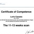 Ingrandire l'immagine: certificate 1