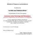Ingrandire l'immagine: certificate 9