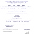Ingrandire l'immagine: certificate 3