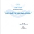 Ingrandire l'immagine: certificate 10