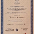 Ingrandire l'immagine: certificate 16