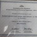 Ingrandire l'immagine: certificate 4