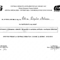 Ingrandire l'immagine: certificate 8