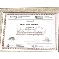 Ingrandire l'immagine: certificate 1