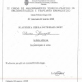 Ingrandire l'immagine: certificate 24