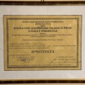 Ingrandire l'immagine: certificate 2