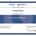 Ingrandire l'immagine: certificate 1