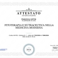 Ingrandire l'immagine: certificate 2