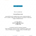 Ingrandire l'immagine: certificate 6