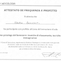 Ingrandire l'immagine: certificate 4