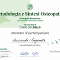Ingrandire l'immagine: certificate 8