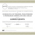 Ingrandire l'immagine: certificate 5