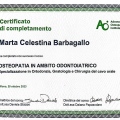 Ingrandire l'immagine: certificate 3