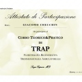 Ingrandire l'immagine: certificate 1