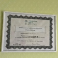 Ingrandire l'immagine: certificate 2