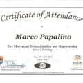 Ingrandire l'immagine: certificate 4