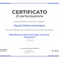 Ingrandire l'immagine: certificate 4