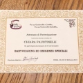 Ingrandire l'immagine: certificate 2