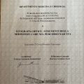 Ingrandire l'immagine: certificate 2