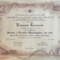 Ingrandire l'immagine: certificate 1