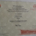 Ingrandire l'immagine: certificate 2
