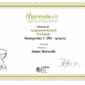 Ingrandire l'immagine: certificate 9