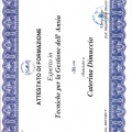 Ingrandire l'immagine: certificate 2