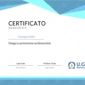 Ingrandire l'immagine: certificate 14
