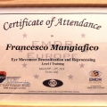 Ingrandire l'immagine: certificate 12