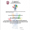Ingrandire l'immagine: certificate 5