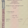 Ingrandire l'immagine: certificate 1