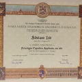 Ingrandire l'immagine: certificate 1