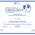 Ingrandire l'immagine: certificate 1