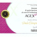Ingrandire l'immagine: certificate 6