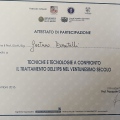 Ingrandire l'immagine: certificate 3