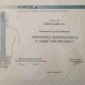 Ingrandire l'immagine: certificate 7