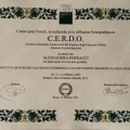 Ingrandire l'immagine: certificate 3
