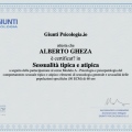 Ingrandire l'immagine: certificate 2