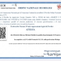 Ingrandire l'immagine: certificate 3