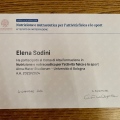 Ingrandire l'immagine: certificate 1