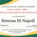 Ingrandire l'immagine: certificate 12