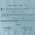 Ingrandire l'immagine: certificate 1